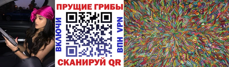Псилоцибиновые грибы MAGIC MUSHROOMS Хвалынск