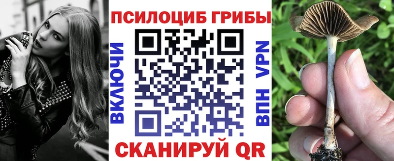 Галлюциногенные грибы ЛСД  Купить закладки  Хвалынск 