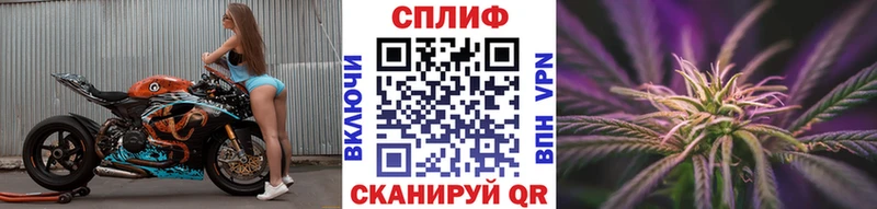 Каннабис Bruce Banner  Купить где  Хвалынск 